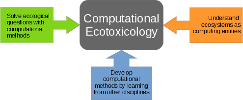 Png: Pieces of the Computational puzzle